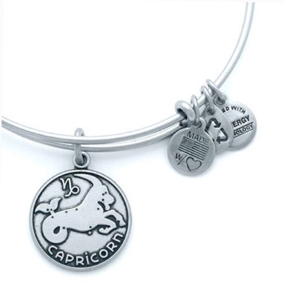 Alex & Ani Capricorn Charm Bangle Russian Silver - Picture 5 of 6